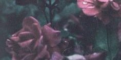 SaSSy_DeAn's profile banner image