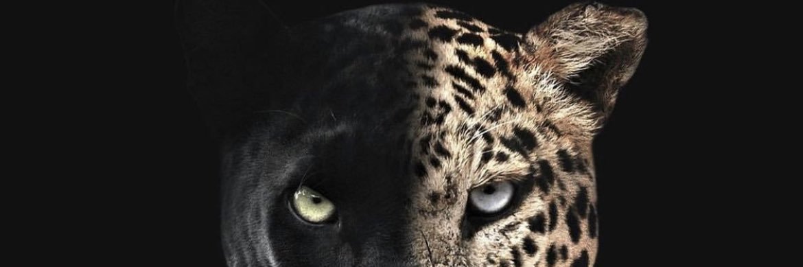HRabeah's profile banner image
