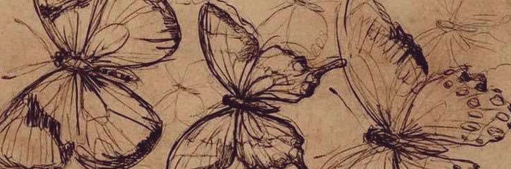 stressedtears's profile banner image