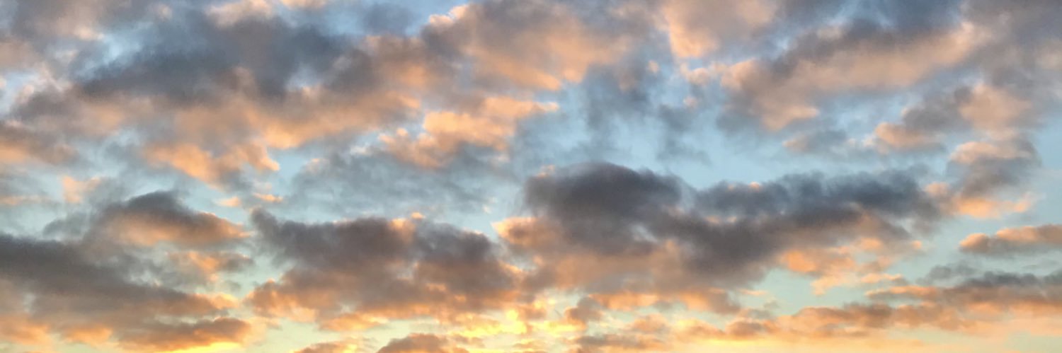 beca_rees's profile banner image