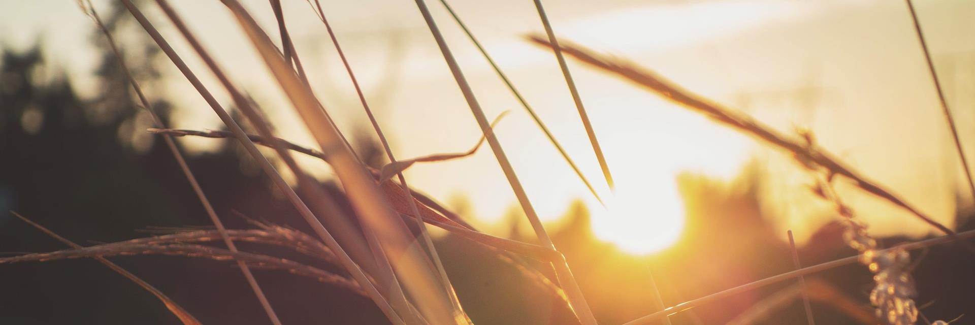 StephBouvard's profile banner image