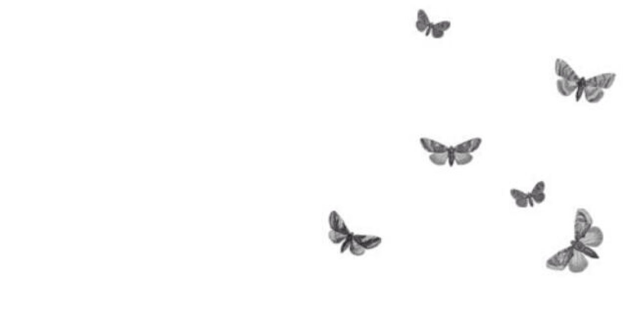 thatgirlevans's profile banner image
