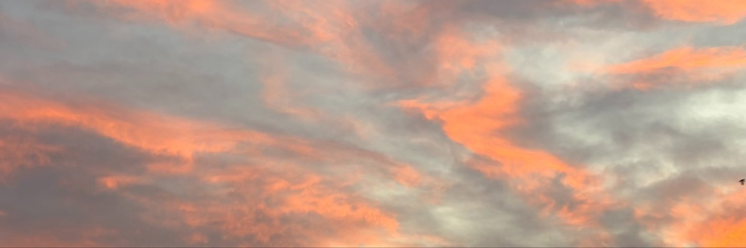 rochhhhhi's profile banner image