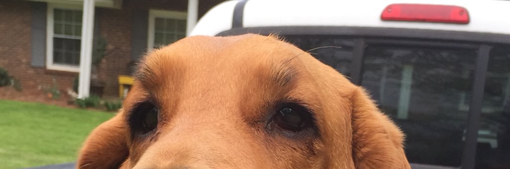 hokiemancg1's profile banner image