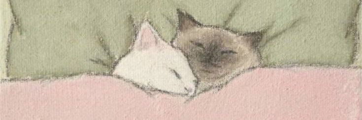 suxpistol's profile banner image