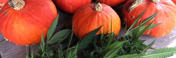 nycjamgal Profile Banner