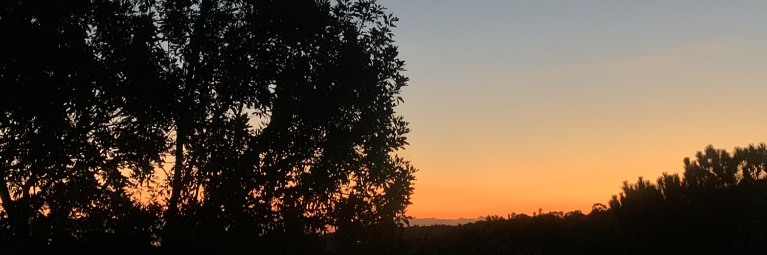 xstesousa's profile banner image