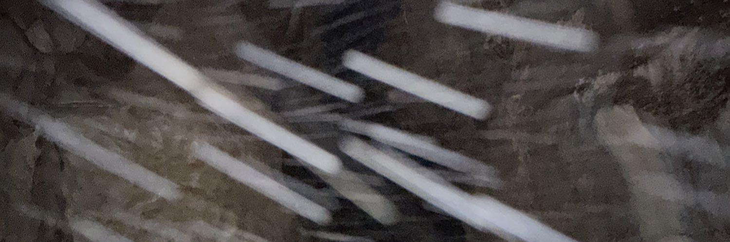 larryin4K's profile banner image