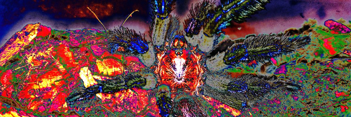 nckjuu's profile banner image