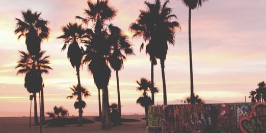 birdybrows's profile banner image