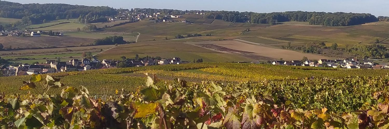 juliencolinet's profile banner image