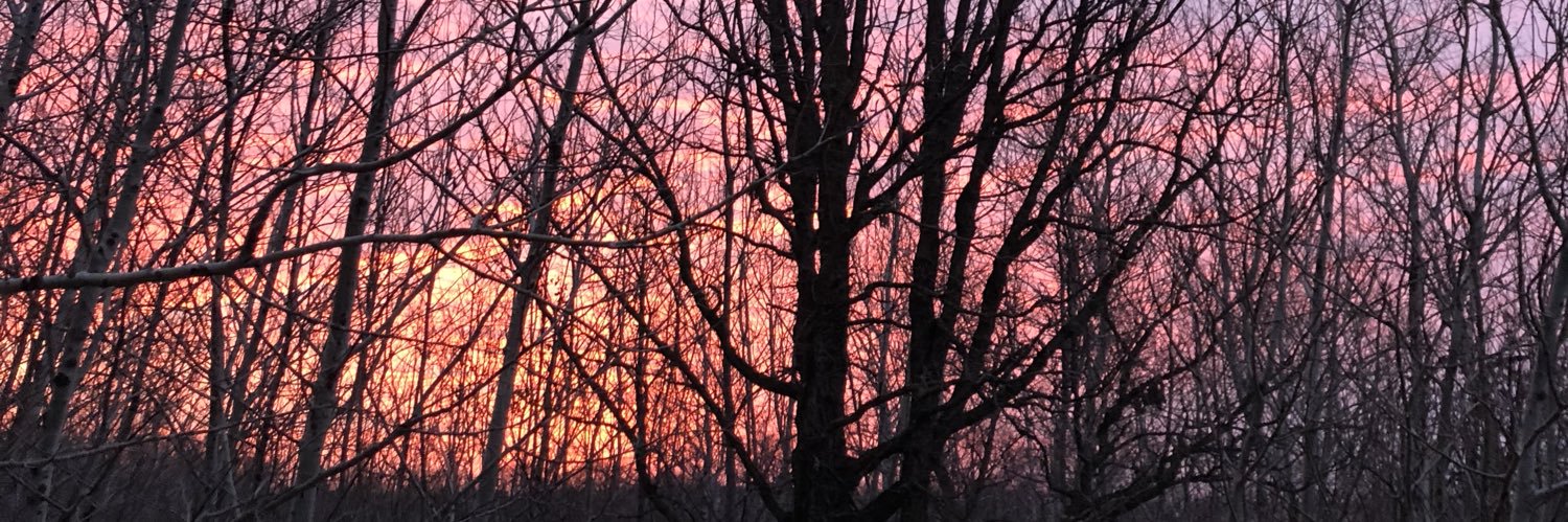 Luke Friedrich banner