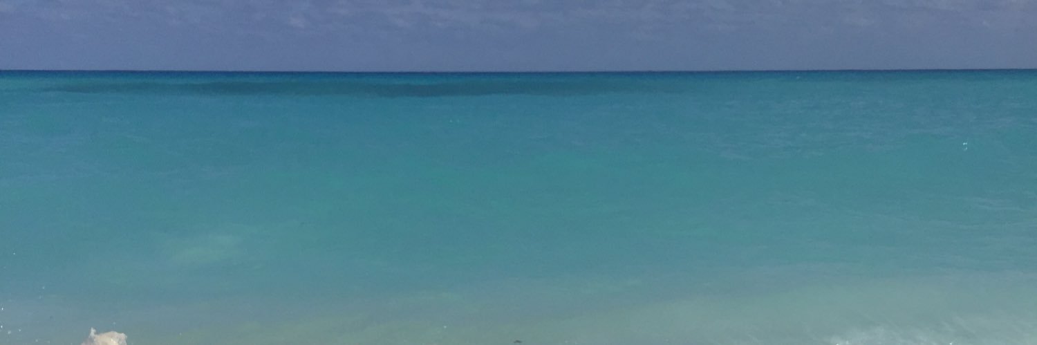 Pri_Venegas's profile banner image