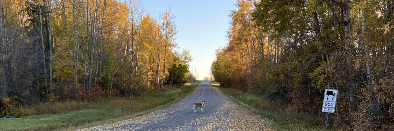 Adrienne Sprecker banner