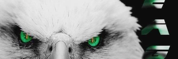 bluendabiz's profile banner image