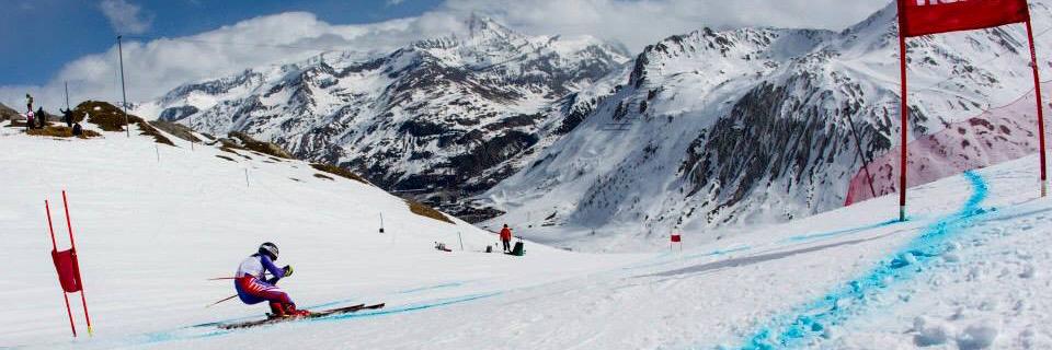 Team Evolution banner