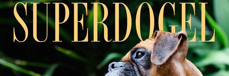 SDogelMagazine's profile banner image