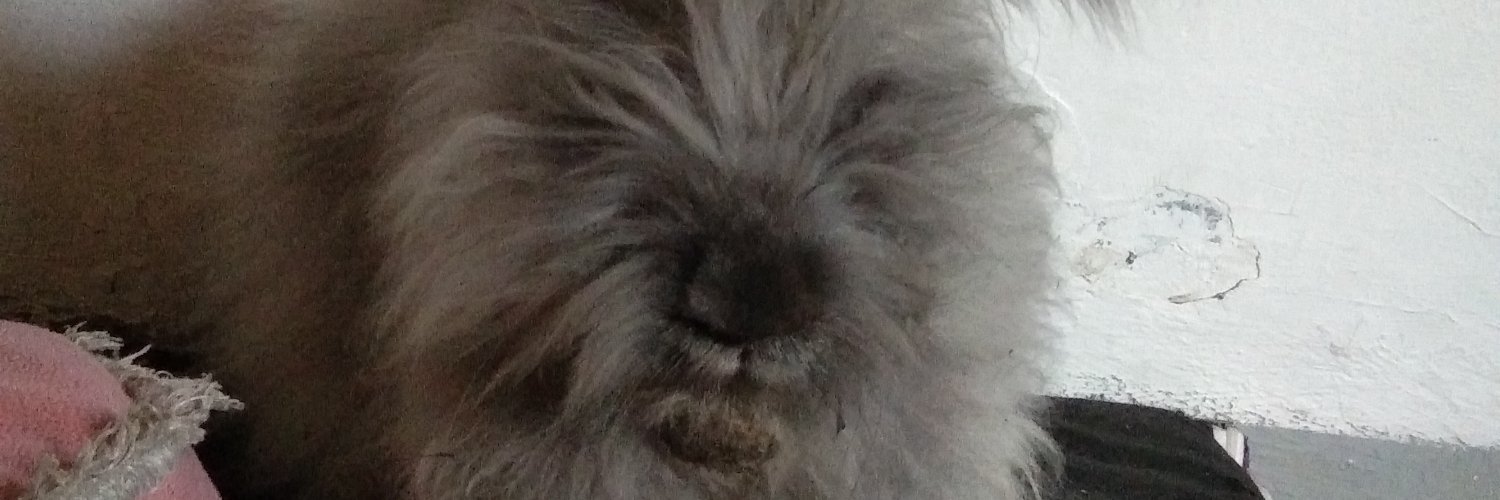 Salsaabilaaa__'s profile banner image