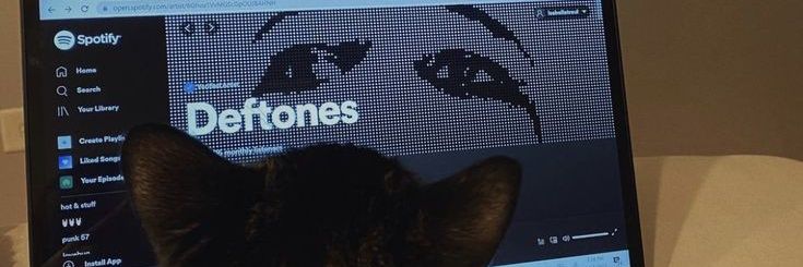 Gvrl888's profile banner image