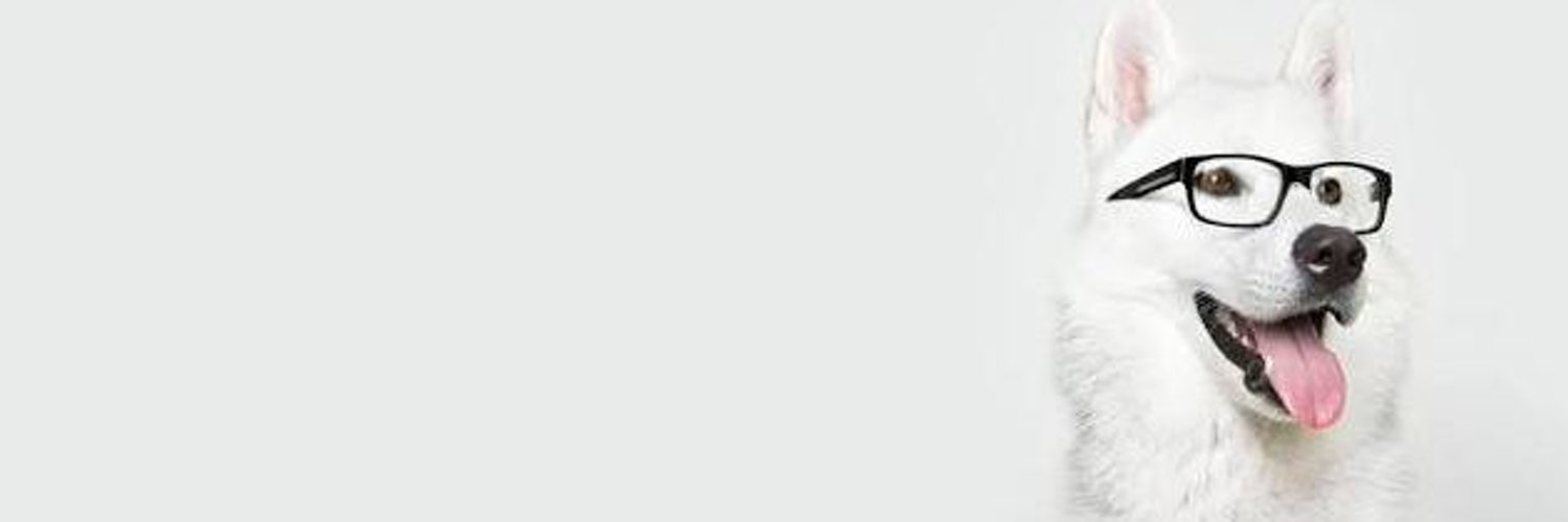 Harun Ünal banner
