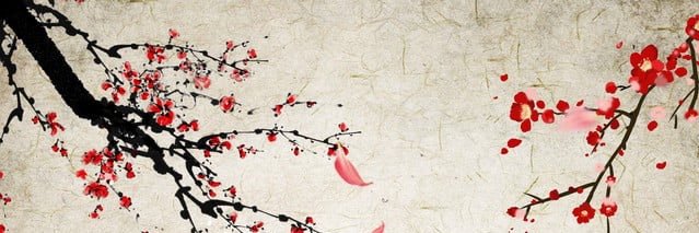 sh_sh2000's profile banner image