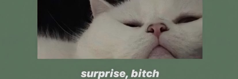 ArielNena_'s profile banner image