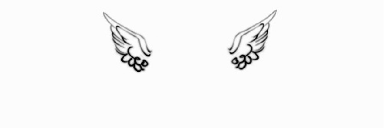 paigesanches's profile banner image