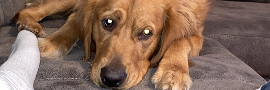 TessierTrey's profile banner image