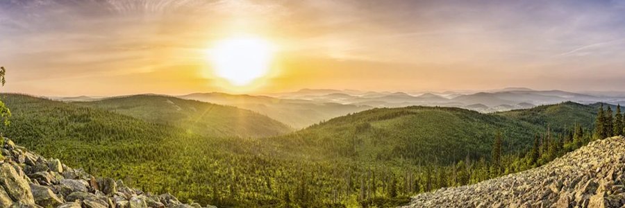 zz7141's profile banner image