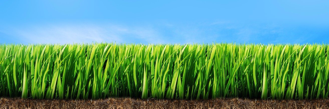 MLFertilizers's profile banner image