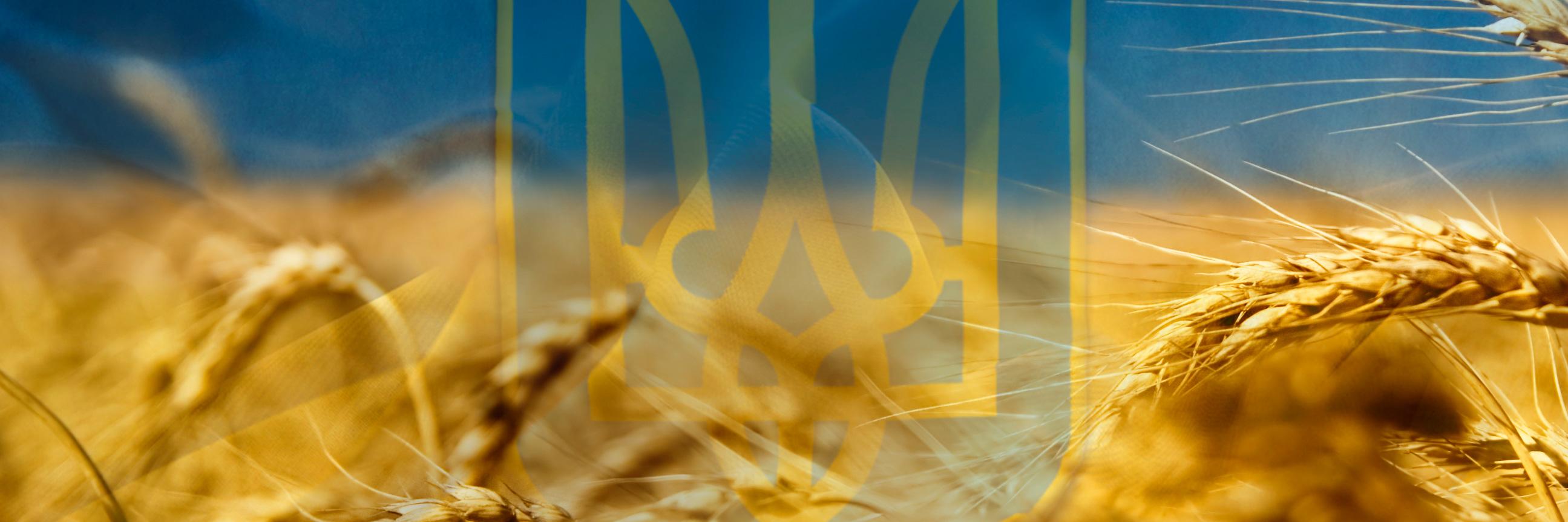 Brodd_fst's profile banner image