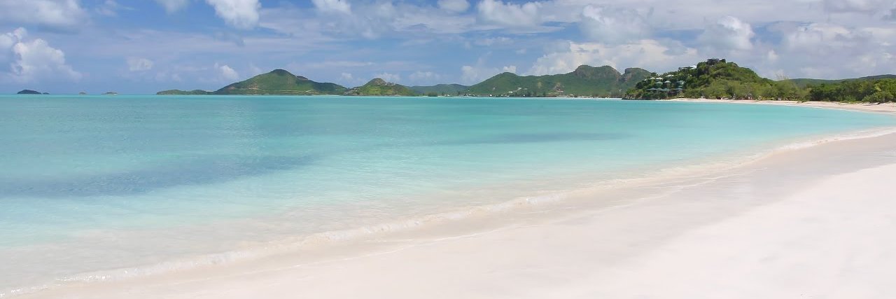 Joanne Benjamin-Lewis banner