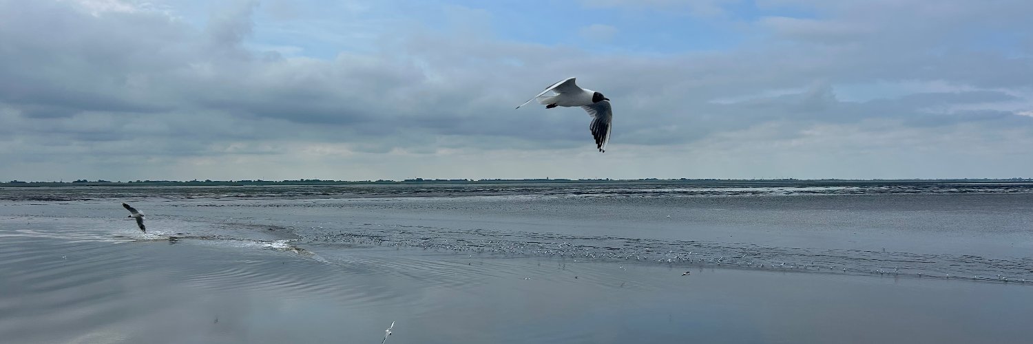 jasmijnbuffel's profile banner image