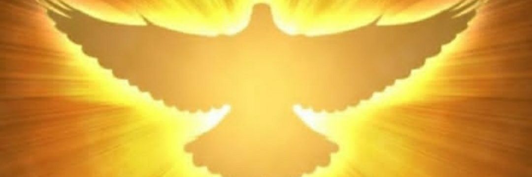 Deborath_16501's profile banner image