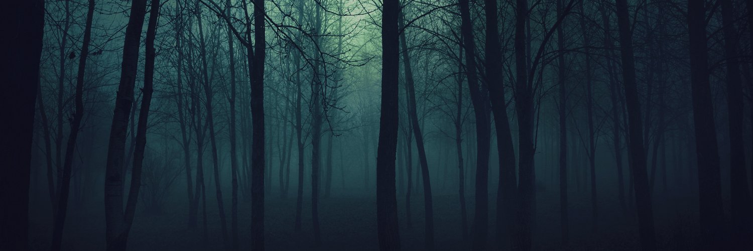 samperand's profile banner image