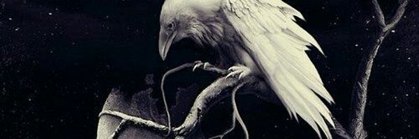 Aemon3428 Profile Banner