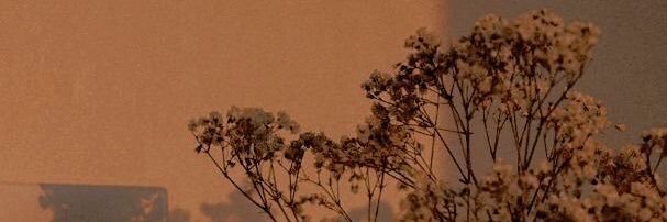 itspupe's profile banner image