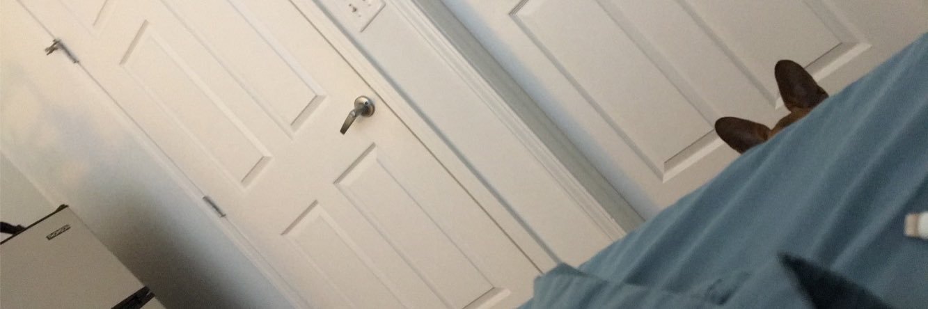 twtrlessmolly's profile banner image