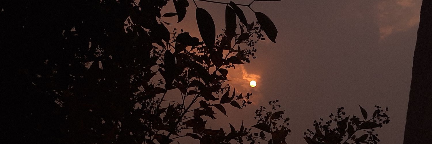 3724Yogi's profile banner image