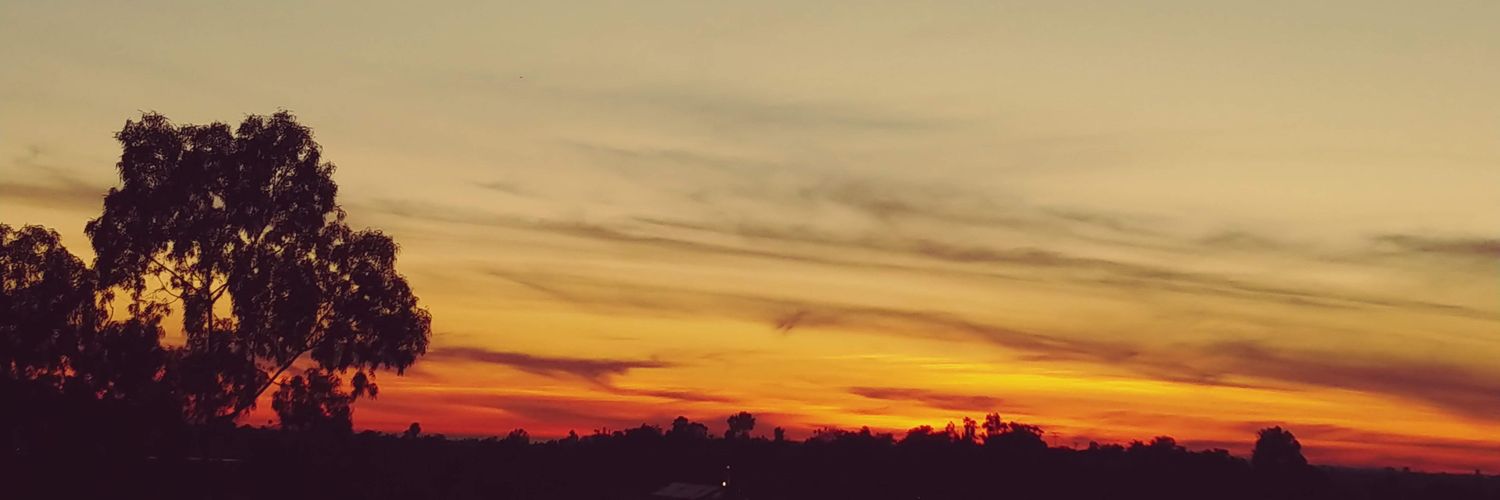 andrei tourubaroff banner