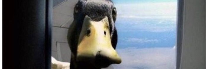 right_l's profile banner image