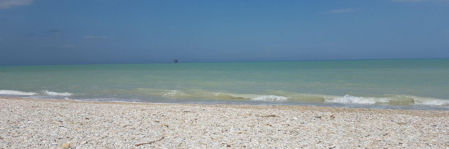 vannyciok's profile banner image