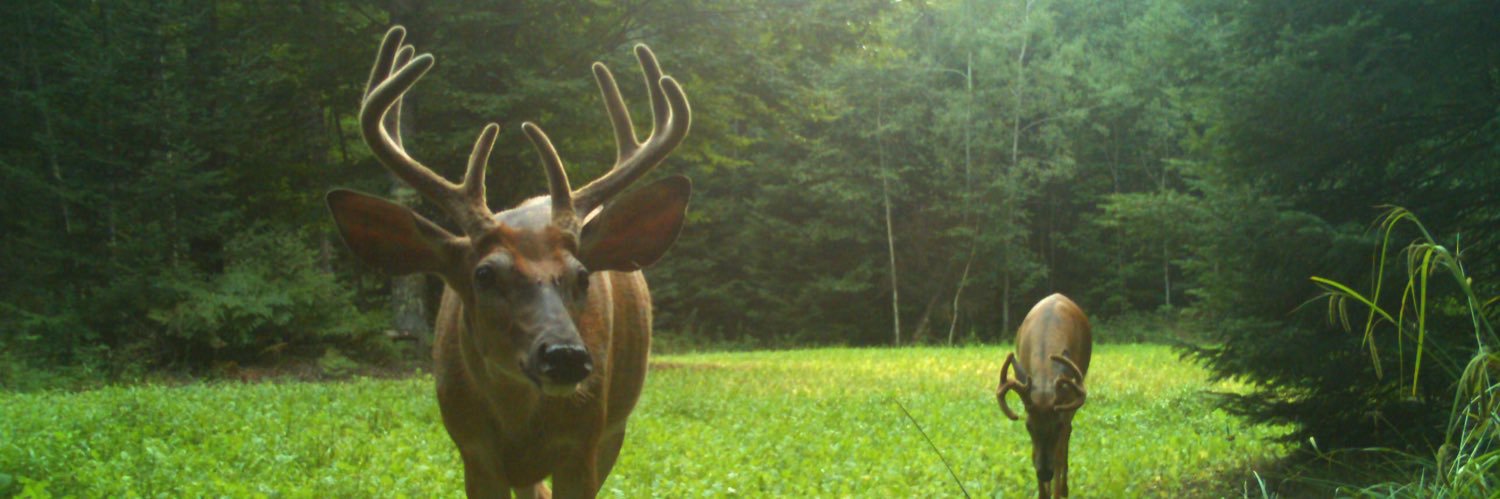 MikeKnuth's profile banner image