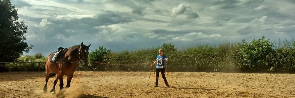 dana woodall field banner
