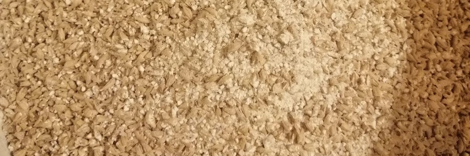Evde_Bira's profile banner image