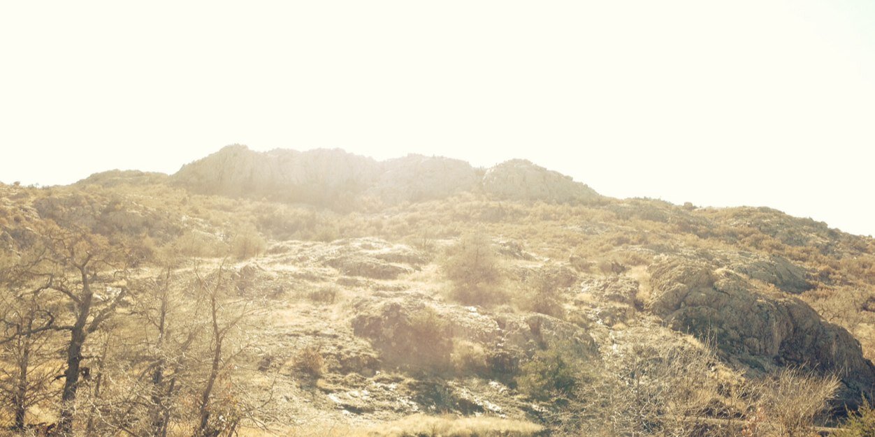 VectorWolfMusic's profile banner image