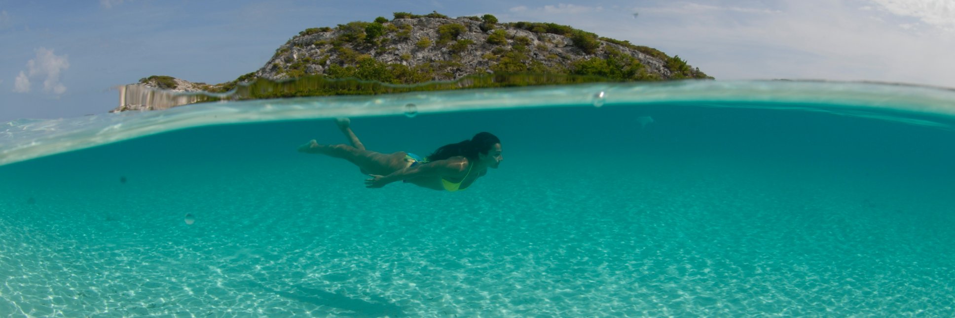 BIGBLUECOLLECTIVE banner