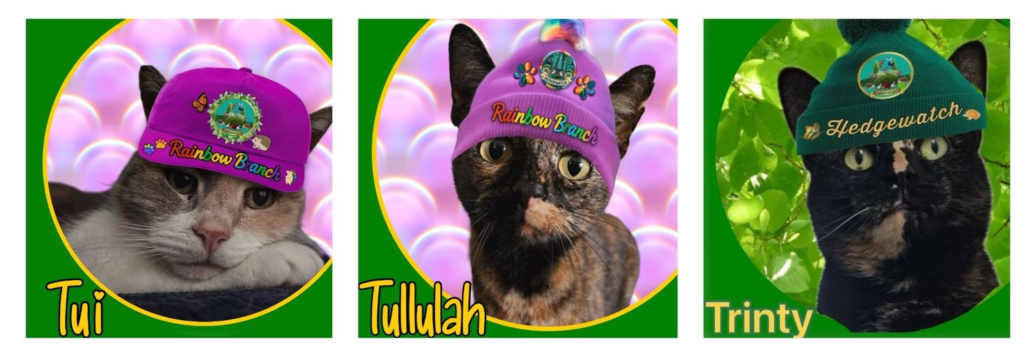 TrinityandTilly 🐱🏰🐉🏴󠁧󠁢󠁷󠁬󠁳󠁿 banner