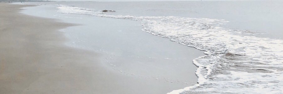 Dana Blake Scopa banner