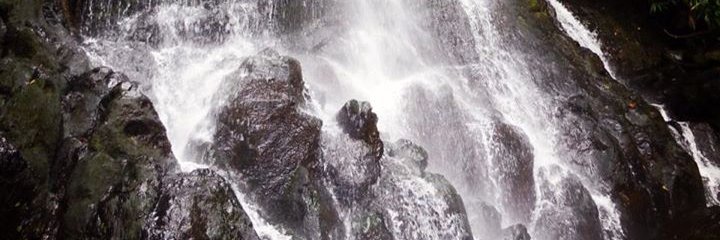 merisanch's profile banner image